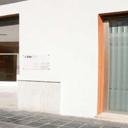Valencian International University