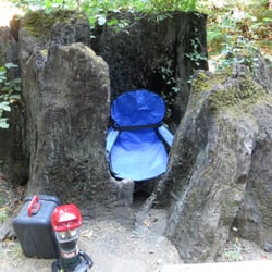 Albee Creek Campground - Humboldt Redwoods State Park - Great spot for a potty!