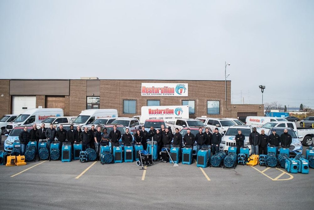 RESTORATION 1 Updated September 2024 14 Photos 94220 23 Street