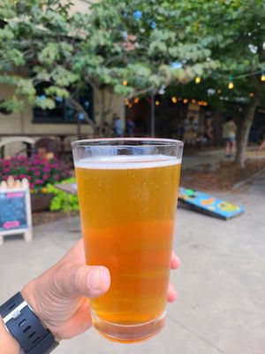 Wedge Brewing Company by null