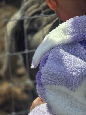 Plymouth Orchards & Cider Mill by null