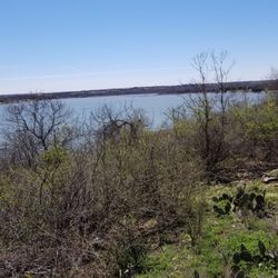Touch of Chrome Trail Rides - Lake views and the bluebonnets just started blooming today. Come se our wildflowers come to life