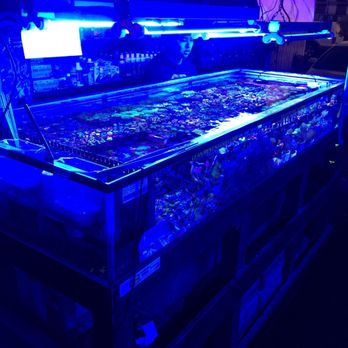 Ellis Aquatics - Local Fish Stores Near Me - Compton, California Ellis Aquatics - Local Fish Stores Near Me - Compton, California