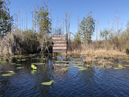 Stephen C Foster State Park by null