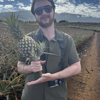 Maui Pineapple Tour - Tours Near Me - Makawao, Hawaii