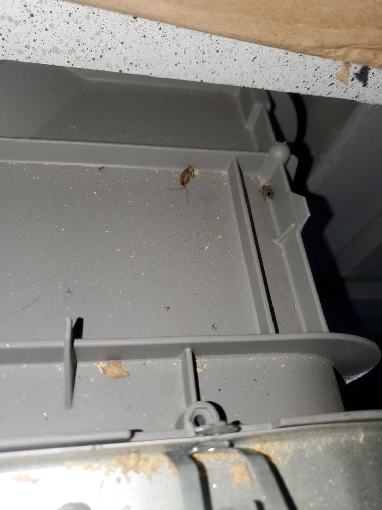 505 West - property management company in Tempe, AZ