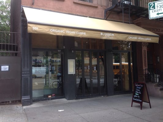 Blossom on Columbus by null