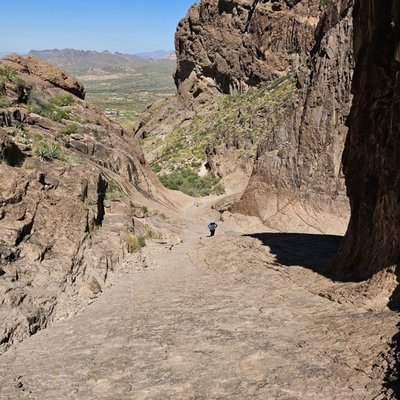 Lost Dutchman State Park by null