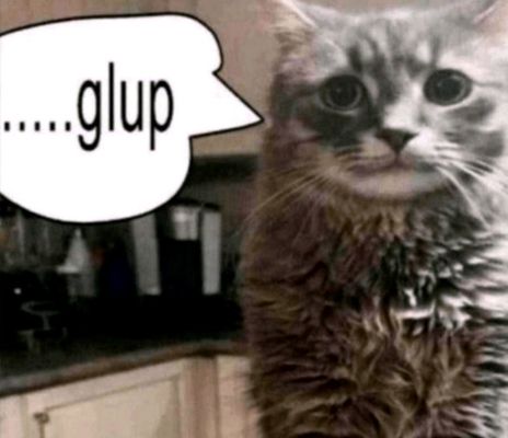 Irregardless by null