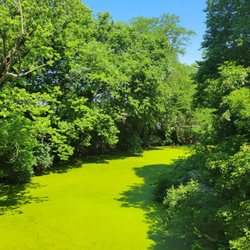 Canal Park - River