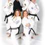 Photo of Lewis' Karate Schools