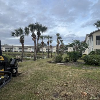 TD Trees - Tree Services Near Me - North Port, Florida TD Trees - Tree Services Near Me - North Port, Florida