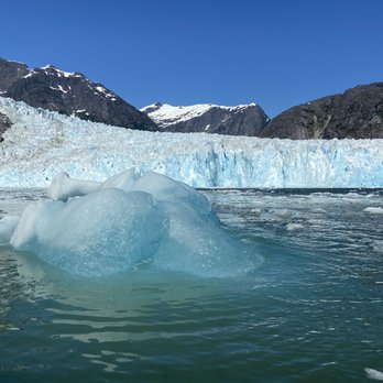 Tongass Adventures - Le Conte glacier - Tours Near Me - Petersburg, Alaska Tongass Adventures - Le Conte glacier - Tours Near Me - Petersburg, Alaska