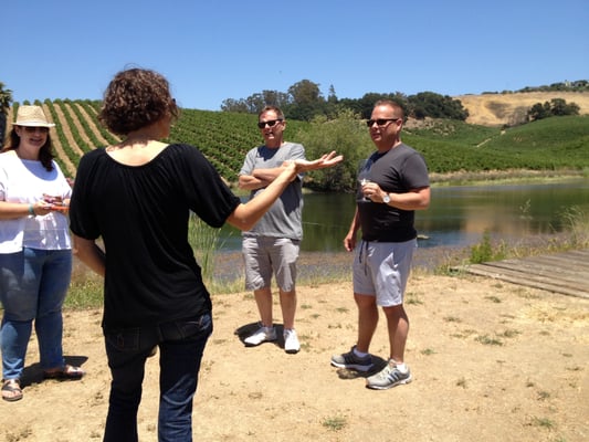 Savor Napa Valley Wine Tours by null