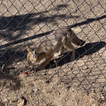 Animal Ark - Zoos Near Me - Reno, Nevada