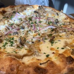 Fungi pizza