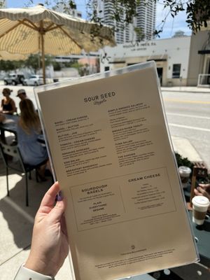 Sour Seed Bagels by null