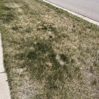 Advanced Irrigation - Our yards - Landscape Architects or Designers Near Me - Buffalo, Minnesota Advanced Irrigation - Our yards - Landscape Architects or Designers Near Me - Buffalo, Minnesota