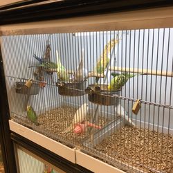 Pet Stores In Louisville Yelp