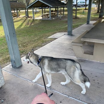 Osceola Forest Rest Area - Me and Apollo at work here at the Rest area! - Rest Stops Near Me - Sanderson, Florida