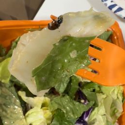 Salad