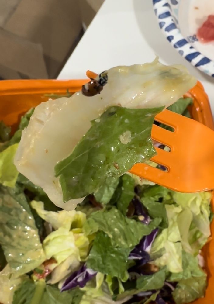 Salad and Go Logo