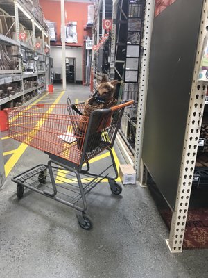 The Home Depot by null