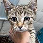 Photo of Coffee Memorial Animal Clinic