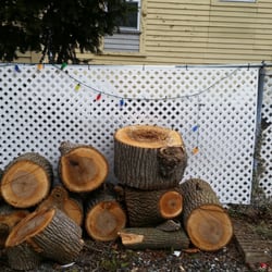 J Dumais Tree Service