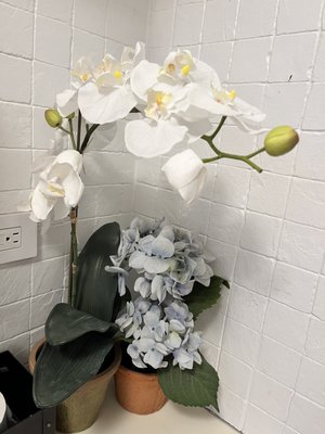 Settepani Restaurant by null