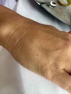 Hotel Barrière Le Majestic Cannes by null