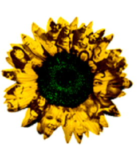 Attachment Center of Kansas - grief counselor in Wichita, KS