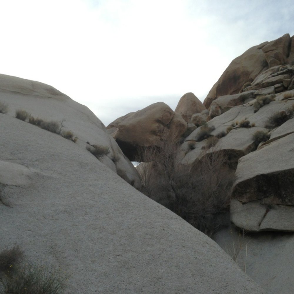 Grapevine Canyon - Making my own trail up the rocks - Hiking Near Me - Laughlin, Nevada Grapevine Canyon - Making my own trail up the rocks - Hiking Near Me - Laughlin, Nevada