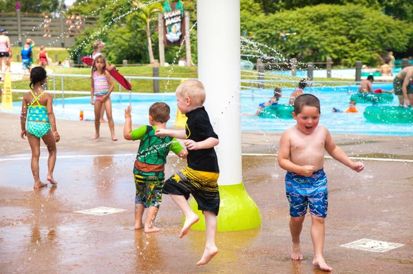 Hurricane Harbor Rockford by null