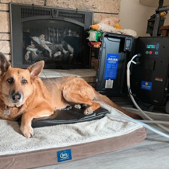 Worth It Therapeutics - Magnawave Mat, a great way for pets to receive the benefits of PEMF while staying comfortable - Holistic Animal Care Near Me Worth It Therapeutics - Magnawave Mat, a great way for pets to receive the benefits of PEMF while staying comfortable - Holistic Animal Care Near Me