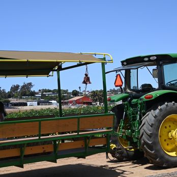 Mellano Farm Stand - a tractor pulling a wagon - Farmers Market Near Me - Oceanside, California Mellano Farm Stand - a tractor pulling a wagon - Farmers Market Near Me - Oceanside, California