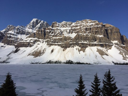 Bow Lake by null