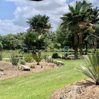 Flamingo Gardens - Desert plants, cactus, agave - Botanical Gardens Near Me - Davie, Florida Flamingo Gardens - Desert plants, cactus, agave - Botanical Gardens Near Me - Davie, Florida