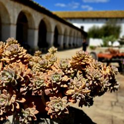 Mission San Miguel