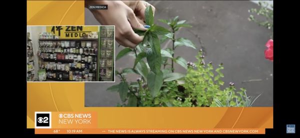 Zen Medica Natural Herbs and Vitamins by null