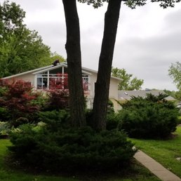 A residential house is seen through a garden with trees, bushes, and a pathway, with an overcast sky overhead.