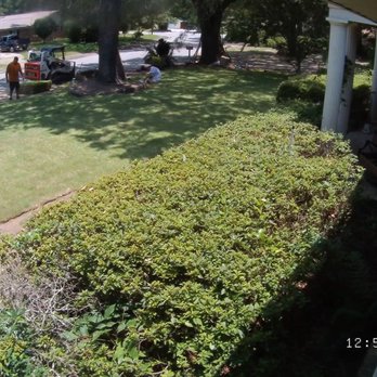 Bryan's Lawn Maintenance - During the sod laying process - Landscaping Near Me - Pensacola, Florida Bryan's Lawn Maintenance - During the sod laying process - Landscaping Near Me - Pensacola, Florida