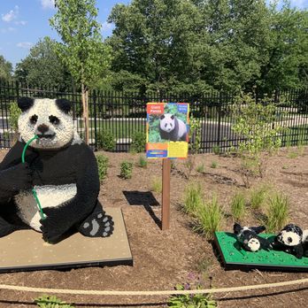 John Ball Zoo - LEGO panda - Zoos Near Me - Grand Rapids, Michigan John Ball Zoo - LEGO panda - Zoos Near Me - Grand Rapids, Michigan
