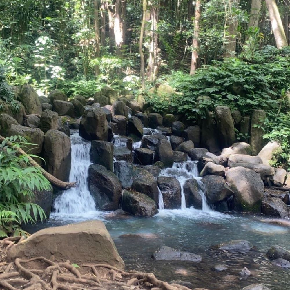Kayak Wailua Tours - King's Bath - Tours Near Me - Kapaa, Hawaii
