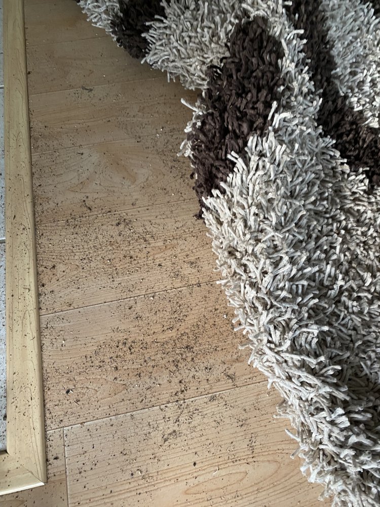 KIWI SERVICES Updated October 2024 91 Photos & 131 Reviews 8222 North Lamar, Austin, Texas