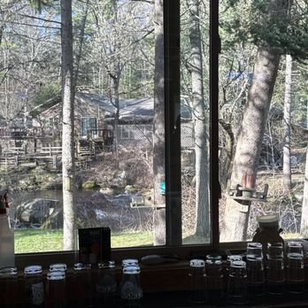 The Ding - The view from the bar.   The Pine River. - A window view features trees, a creek, and a cabin in a wooded area, with glasses and items on the windowsill inside. - Bars Near Me - Wild Rose, Wisconsin