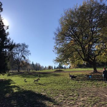 Chimney Park - Dog Parks Near Me - Portland, Oregon Chimney Park - Dog Parks Near Me - Portland, Oregon