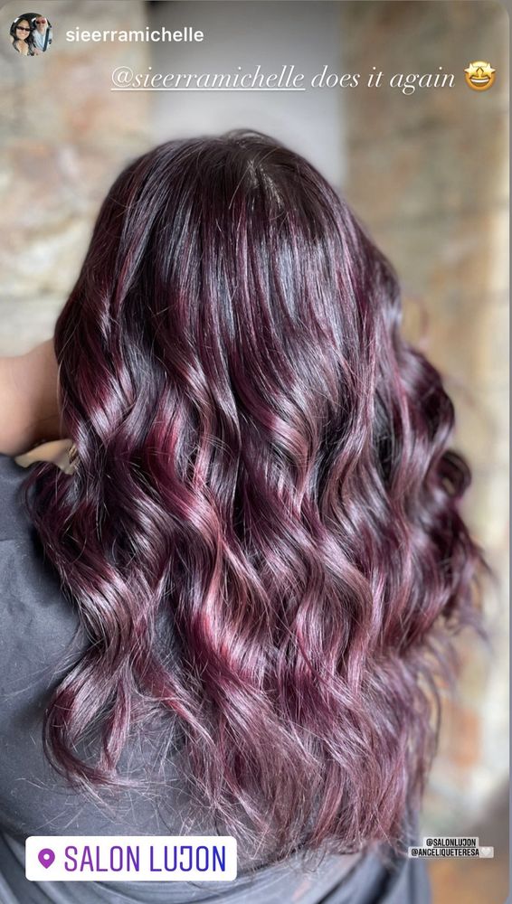 Sierra Michelle Hairstylist Logo