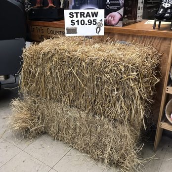 Sunset Feed & Supply - Pet Stores Near Me - Miami, Florida