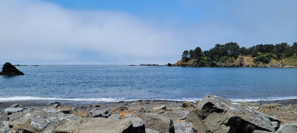 Pygmy Forest Discovery Trail by null